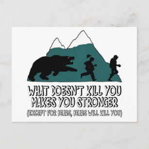 Cartão Postal Ursos engraçados