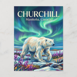 Cartão Postal Ursos Polares Churchill Canadá