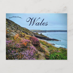 Cartão Postal Urze em Pembrokeshire País de Gales