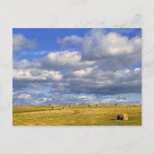 Cartão Postal USA, Nebraska, Morrill County. Golden hay