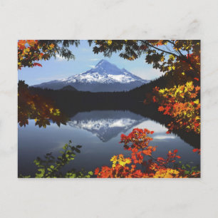 Cartão Postal USA, Oregon, Mt. Hood National Forest.