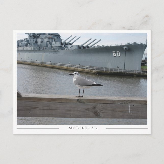 Cartão Postal USS Alabama & Seagull – Mobile, AL Souvenir (Frente)