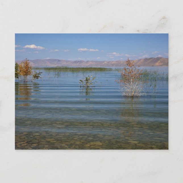 Cartão Postal UT, Lago Urso (Frente)