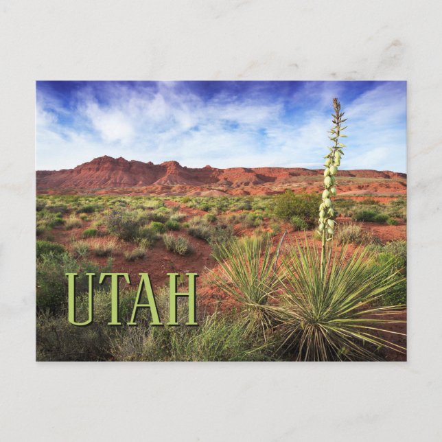 Cartão Postal Utah Desert Yucca (Frente)