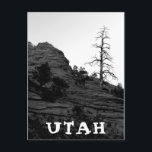 Cartão Postal UTAH Zion National Park Lone Tree Black White<br><div class="desc">Olá! Espero que goste desta foto que tirei! Sinta-se livre para adicionar seu próprio texto e verifique minhas compras para mais!</div>