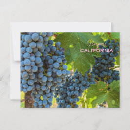 Cartão Postal Uvas