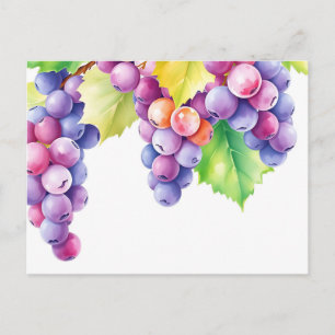Cartão Postal Uvas aquarela em fundo branco limpo
