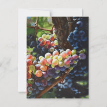 Uvas de abundância para amantes e vinhas de vinho