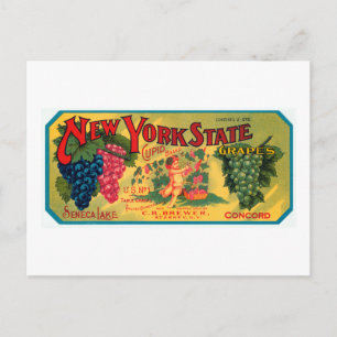 Cartão Postal Uvas do Estado de Nova Iorque