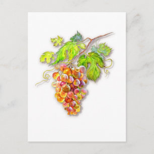 Cartão Postal Uvas Douradas Rosadas – Aquarela Botânica