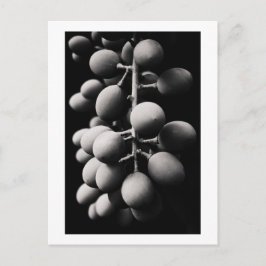 Cartão Postal uvas para um dia azedo