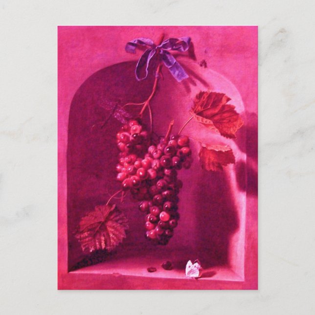 Cartão Postal UVAS PENDURADAS Viticultura Antiga,Vinha Rústica (Frente)