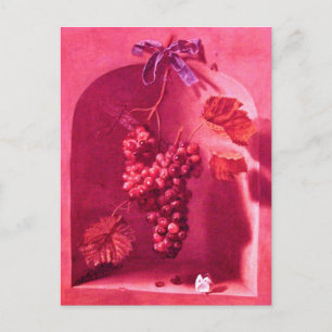 Cartão Postal UVAS PERIGOSAS - Viticultura Antica, Vineau Rústic