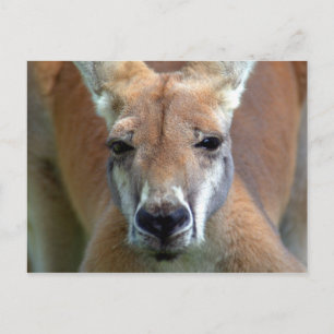 Cartão Postal vá embora