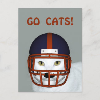 CARTÃO POSTAL VÁ GATOS!