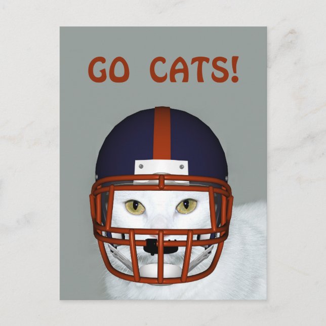 CARTÃO POSTAL VÁ GATOS! (Frente)