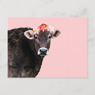 Cartão Postal Vaca Aloha, Lei, Diversão Rosa De Verão