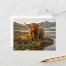 Vaca das Terras Altas Terras Altas Escocesas Loch 