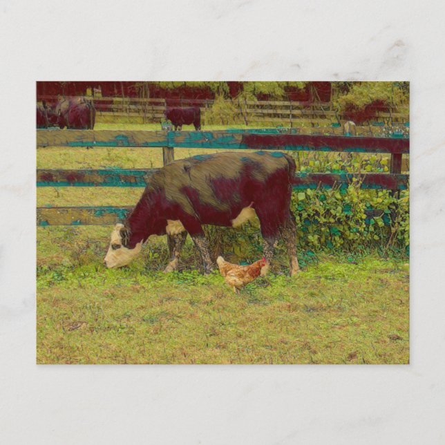 Cartão Postal Vaca e Galinha dos Amigos do Barnyard (Frente)