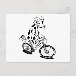 Cartão Postal Vaca engraçada andando de bicicleta