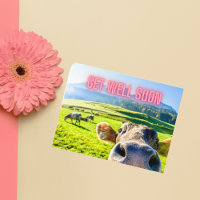 Vaca Engraçada Vai Ficar Bem Em Breve