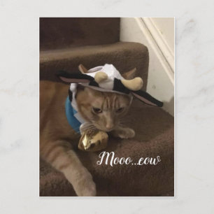 Cartão Postal Vaca Lancelot