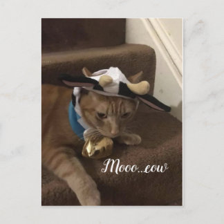 Cartão Postal Vaca Lancelot