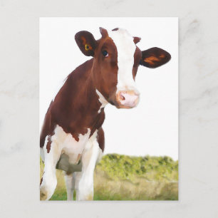 Cartão Postal Vaca Leiteira - Castanho Pintado e Holstein Branca