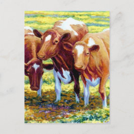 Cartão Postal Vaca Leiteira em Pintagem de Campo de Pastura
