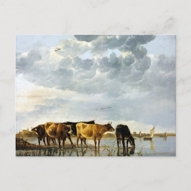 Cartão Postal Vacas Aelbert Cuyp em um rio (Frente)