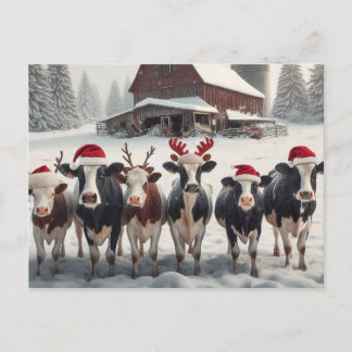 Cartão Postal Vacas de Natal engraçadas