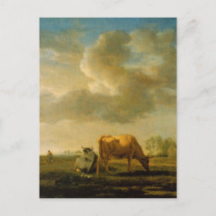 Cartão Postal Vacas em um Prado por Adriaen van de Velde