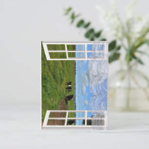 Cartão Postal Vacas Galloway através de uma janela, Cartão-pos