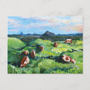 Cartão Postal vacas maleny