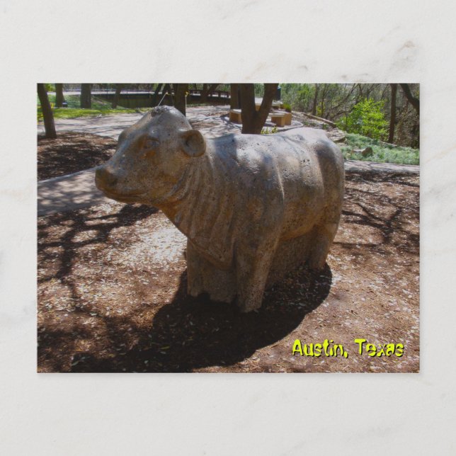 Cartão Postal Vacas no Arboretum (Frente)