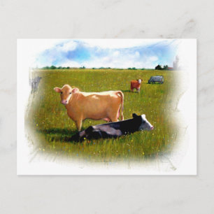 CARTÃO POSTAL VACAS NO PASTEL DE PASTAGEM