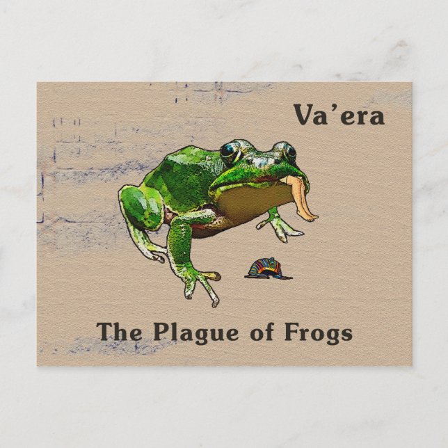 Cartão Postal Va'era - Rãs (Frente)