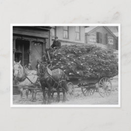 Cartão Postal Vagão carregado de árvores de Natal