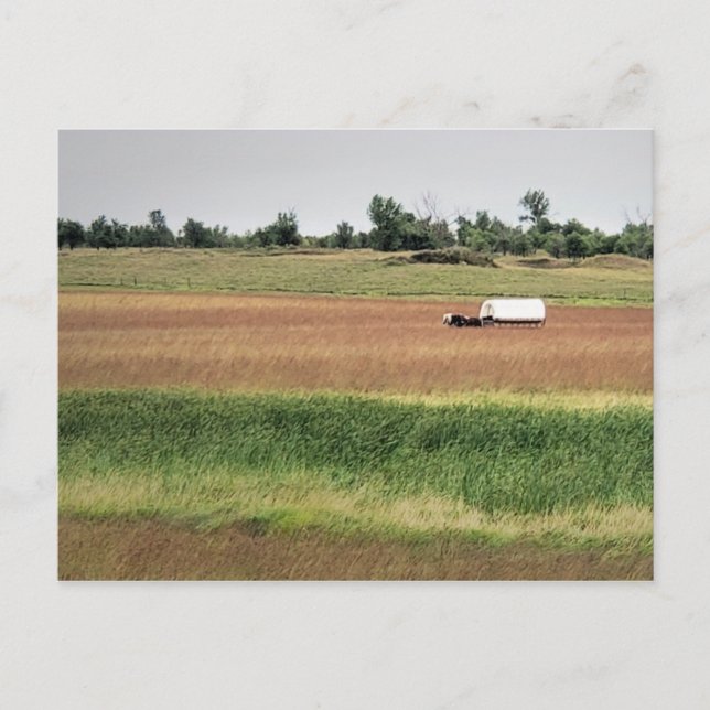 Cartão Postal Vagão coberto na Laura Ingalls Wilder Homestead (Frente)