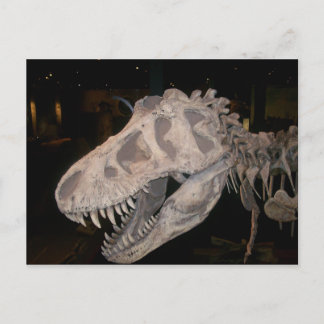 Cartão Postal Vai te comer!