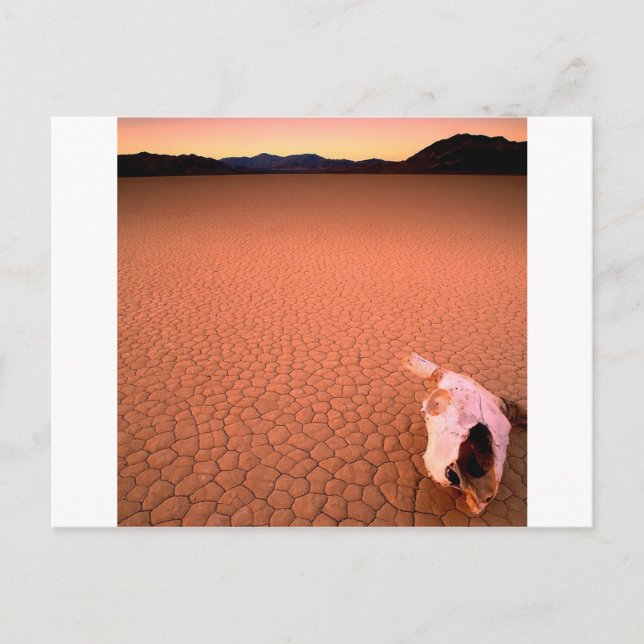 Cartão Postal Vale da Morte Seco de abstrato Bone (Frente)