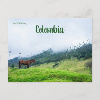 Cartão Postal Vale de Cocora na Colômbia