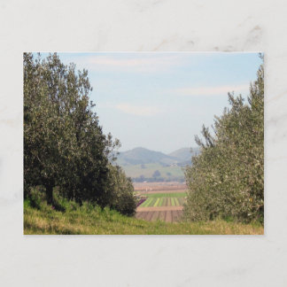 Cartão Postal Vale de negligência de San Juan