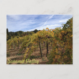 Cartão Postal Vale de Sonoma