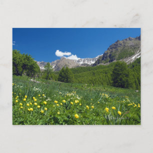 Cartão Postal Vale Estenc na Riviera primavera francesa