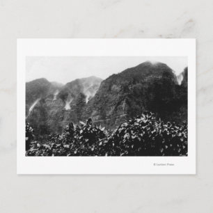 Cartão Postal Vale Nuuanu, Havaí - Vista de cabeça para baixo