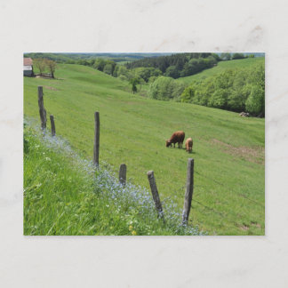 Cartão Postal Vale Wooded, Auvergne