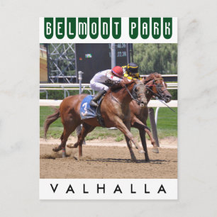 Cartão Postal Valhalla