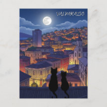 Valparaiso Chile cats