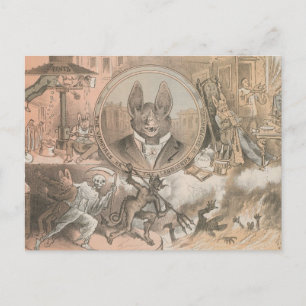 Cartão Postal Vamire Bat Portrait